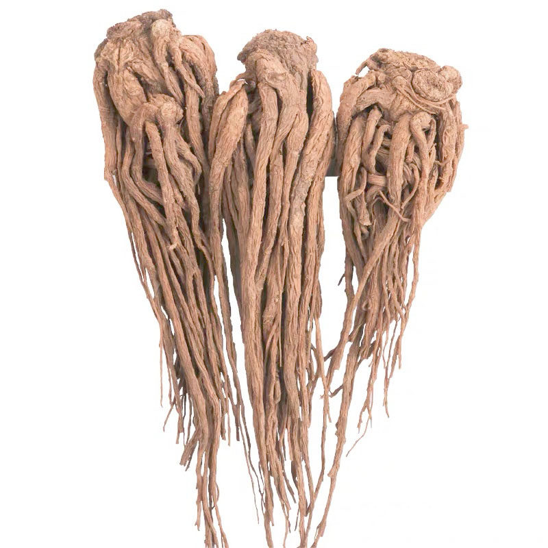 当归500g克包正品整根岷县无硫甘肃中药材非特当归