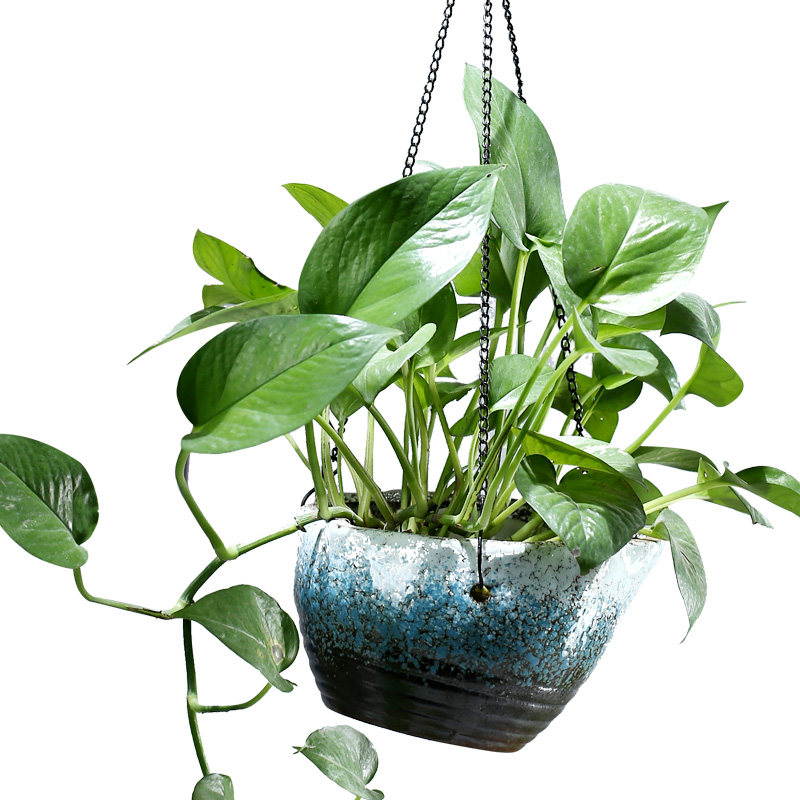 创意吊兰花盆陶瓷垂吊悬挂式大号多肉吊篮挂钩花盆