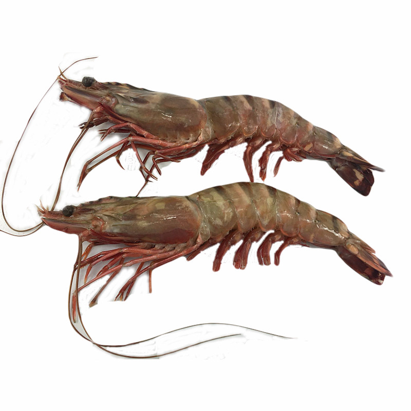 虎斑虾鲜活冷冻老虎虾超大斑节虾九节虾海鲜大虾虎虾4只500g