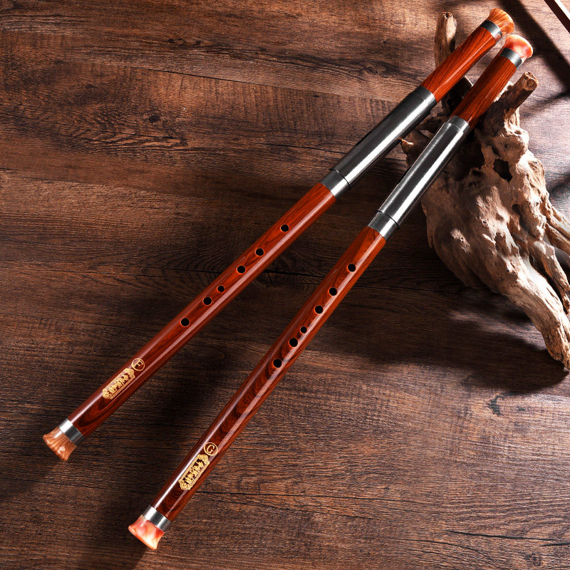 入门男女初学小学生成人竖吹横吹调降树脂乐器巴乌