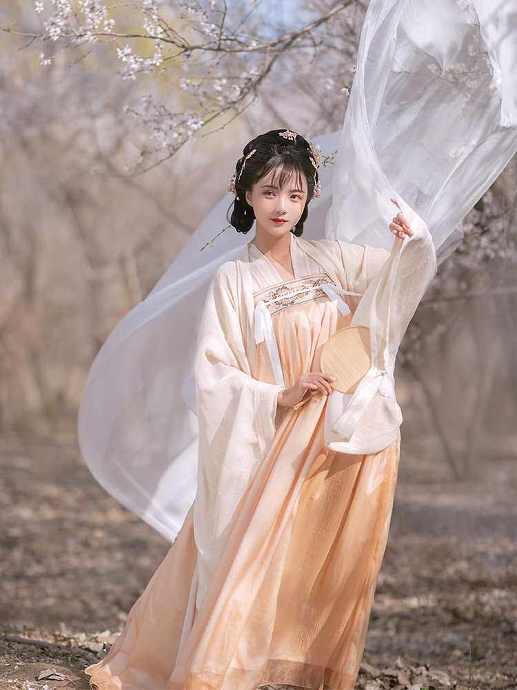 紫沐原创正品【秋锦棠】一片式对襟齐胸襦裙汉服女大袖衫春夏秋款