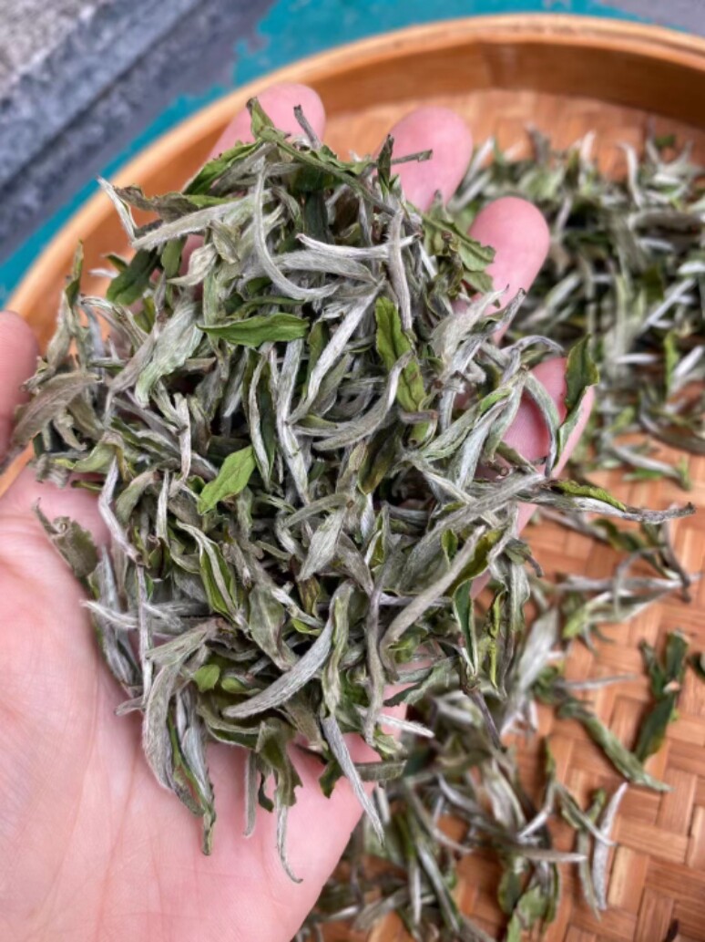 银针2020白茶野生茶叶牡丹王茶叶松溪白牡丹特级白毫银针