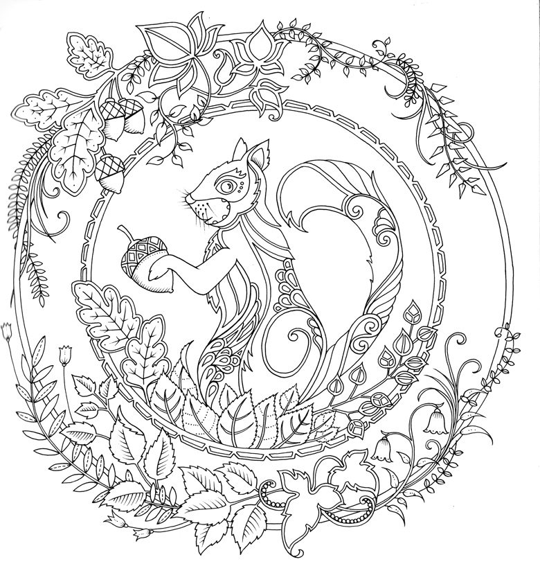 秘密花园涂色书大人涂画成人减压绘画绘本学生填色画册画画本成年