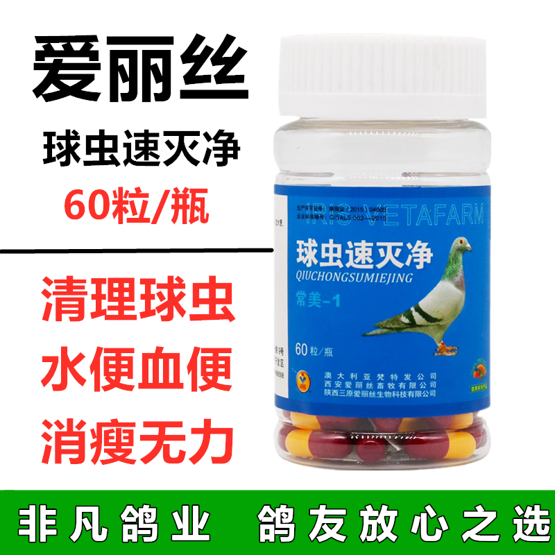 球虫爱丽丝鸽药速灭胶囊60粒信鸽拉绿便血赛鸽医疗用品