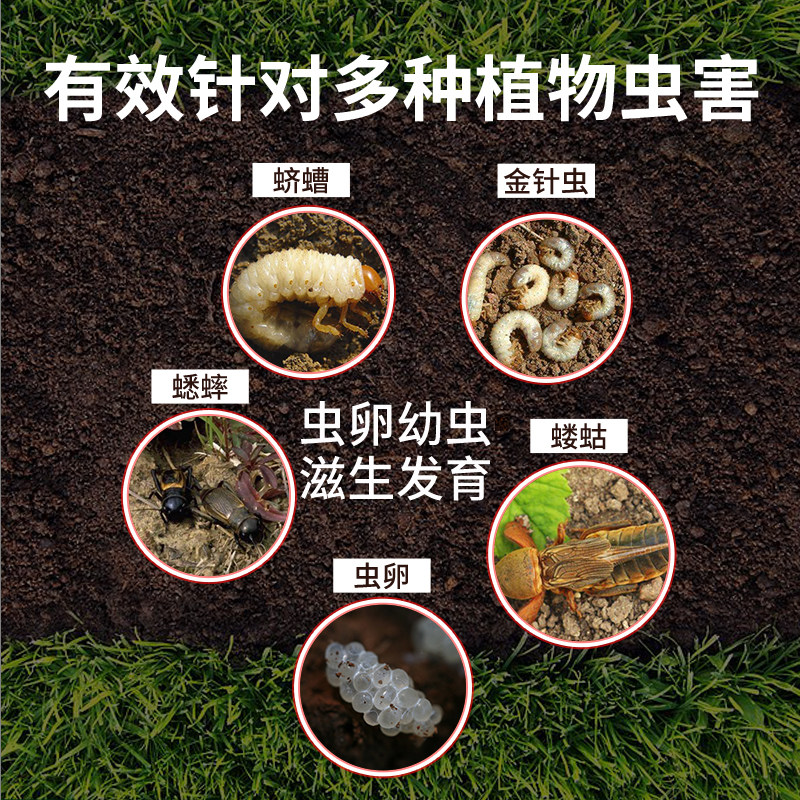 土壤杀虫剂花卉植物杀虫药地下害虫小黑飞蚜虫蚧壳虫盆栽除虫剂
