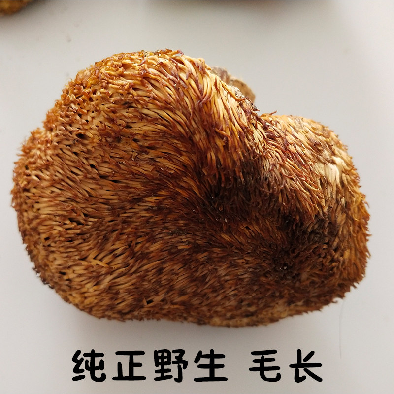 猴头东北特产纯正野生正宗养胃大兴安岭山500g土特产猴头菇