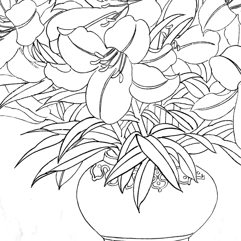 国画工笔画挂画花瓶百合斗方打印白描初学者临摹国画