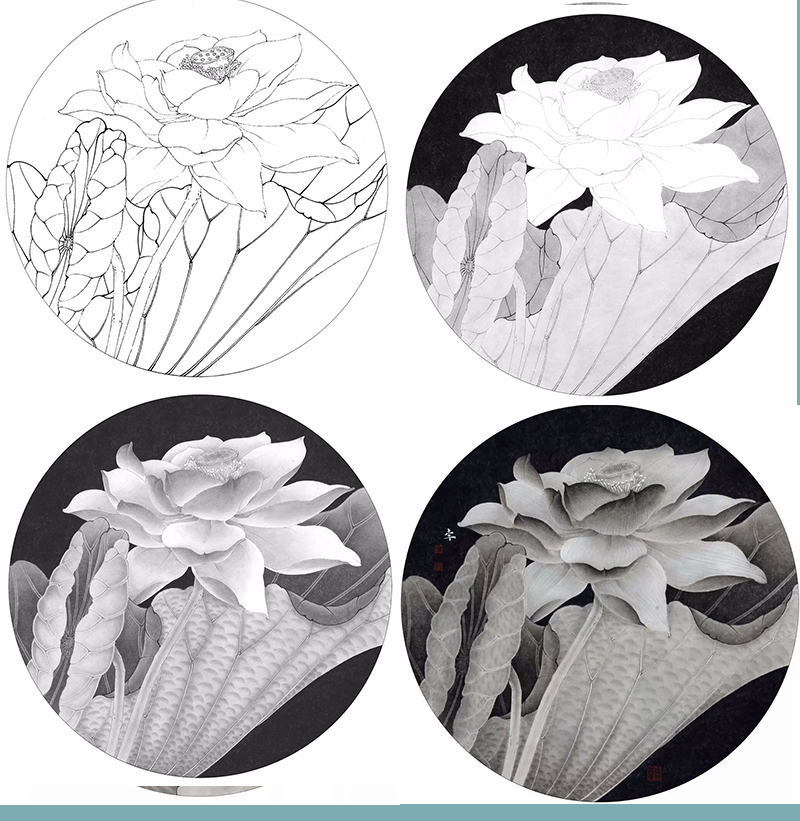 国画步骤透稿临摹初学者荷花晓明工笔画李晓明底稿国画