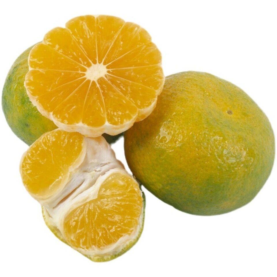 新鲜桔子孕妇10斤薄皮橘子水果果特青皮蜜橘桔子