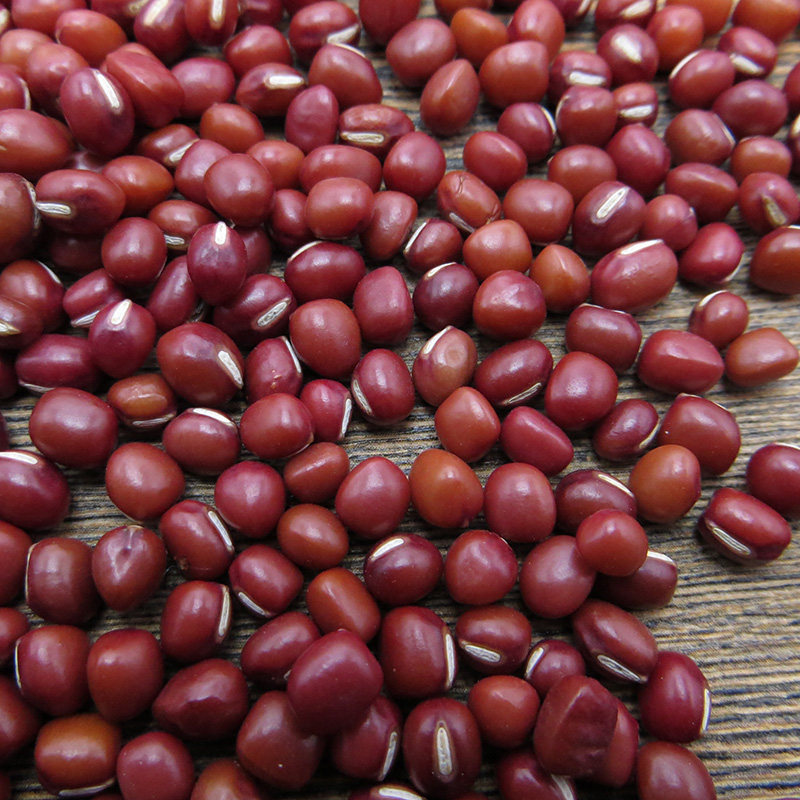 5斤农家自产珍珠红小豆新货小红豆转基因红豆薏仁红豆