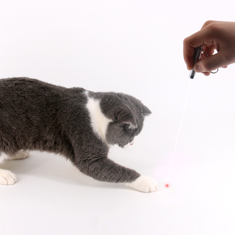 逗猫玩具激光棒逗猫激光笔红外线猫咪逗猫棒