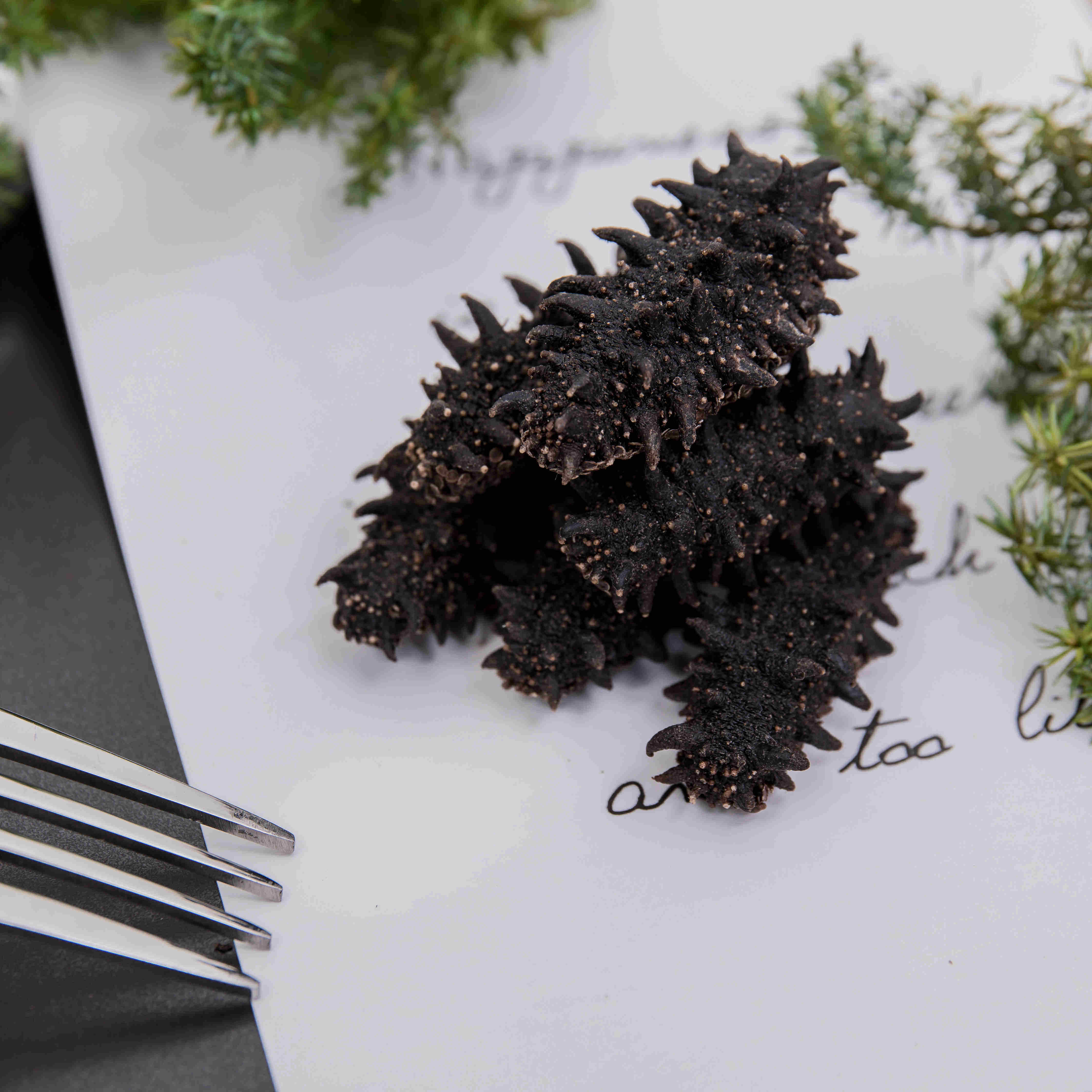 海参俄罗斯刺参120头干货口红进口六排野生淡干干品