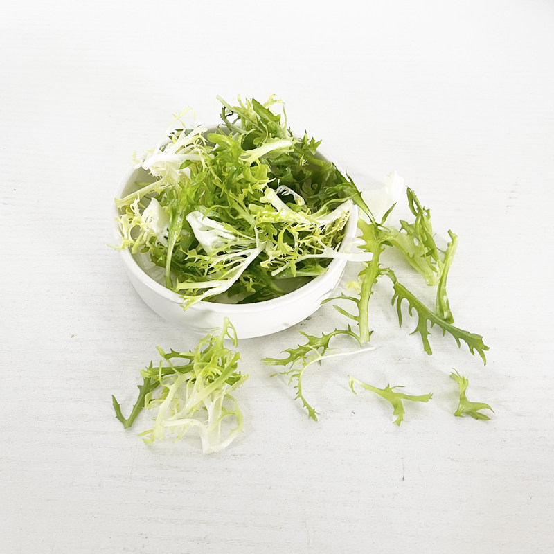 壹香苦细叶苦菊苦叶生菜蔬菜沙拉食材粗加工半成品叶菜类