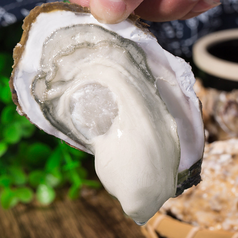 乳山生蚝鲜活10斤装 一箱5斤新鲜大牡蛎带壳海蛎子即食海鲜水产品