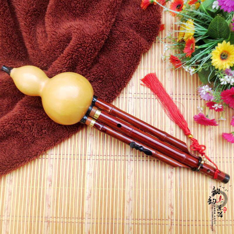 森雀正品天然红木加键9孔葫芦丝加四键加五键降bc调专业型