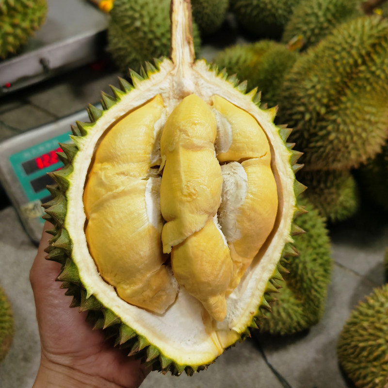 泰国 青尼 查曼尼榴莲新鲜 肉黄味浓 果肉细腻有回甘-mc母婴网
