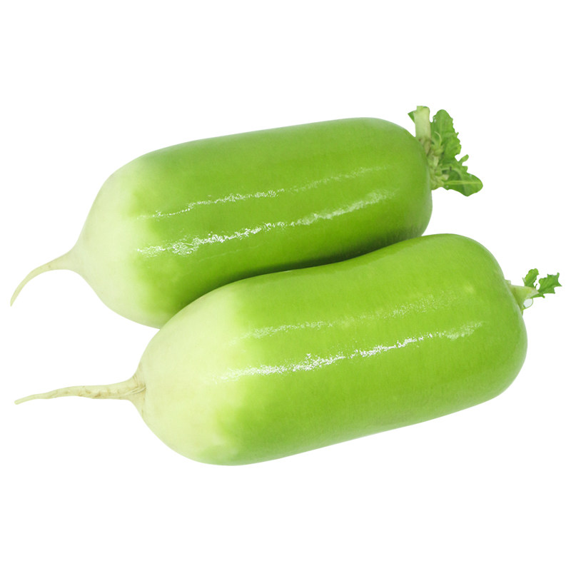 新挖水果萝卜甜脆10斤新鲜非潍坊潍县生吃沙窝正宗青萝卜红胡萝卜