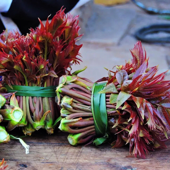 现货香椿芽新鲜20年头茬红油香椿春叶芽春牙椿天现摘500g蔬菜顺丰