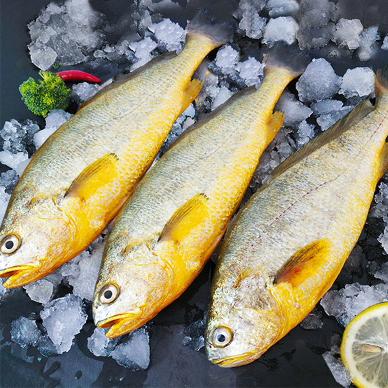 味尔佳黄花鱼怎么样,参考下面评价再决定吧