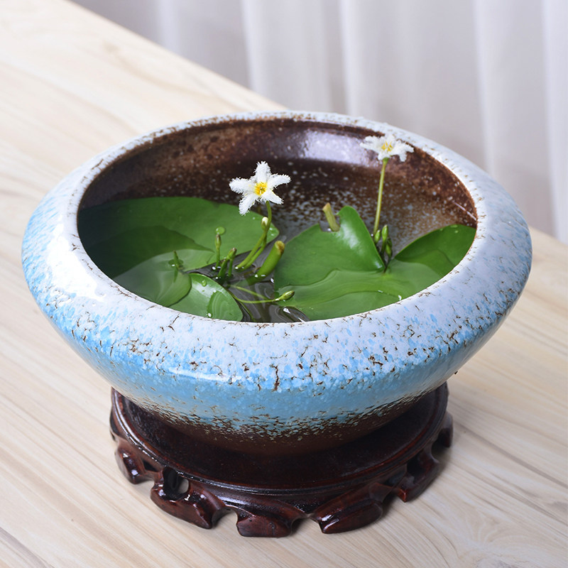荷花花盆拼盘多肉陶瓷器皿水培大号水仙花碗莲花盆