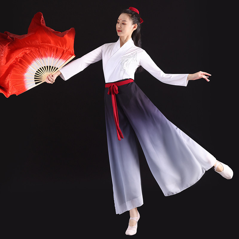 万疆舞蹈演出服夏辉同古典练功服女飘逸成人现代民族服装