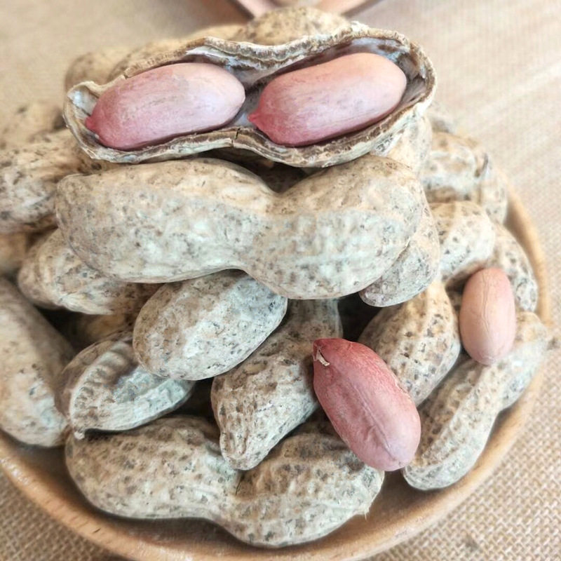 食字超大粒粒精选花生米花生新货山东特大新鲜花生