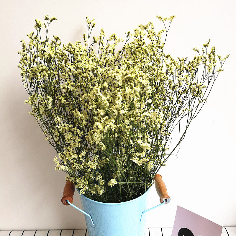 云南昆明新鲜配草水晶草黄黄水晶红水晶情人草干花干花