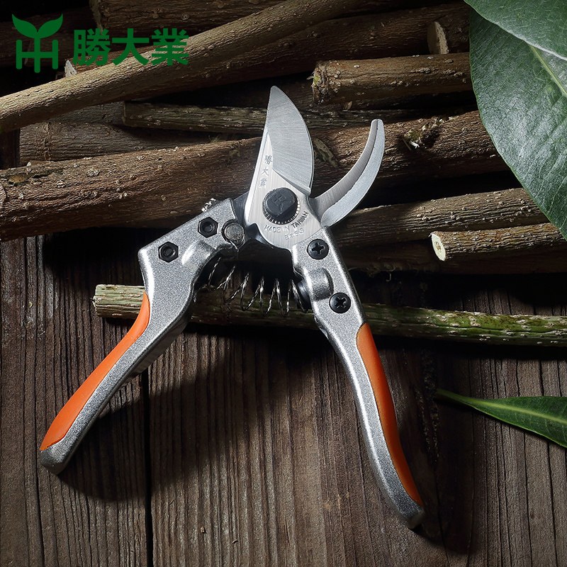 进口花枝剪刀家用摘采果修花艺稀果葡萄剪长剪刀