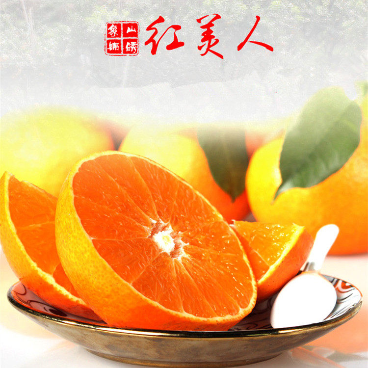 象山正宗美人柑橘桔子日本爱媛28号果冻4斤桔子