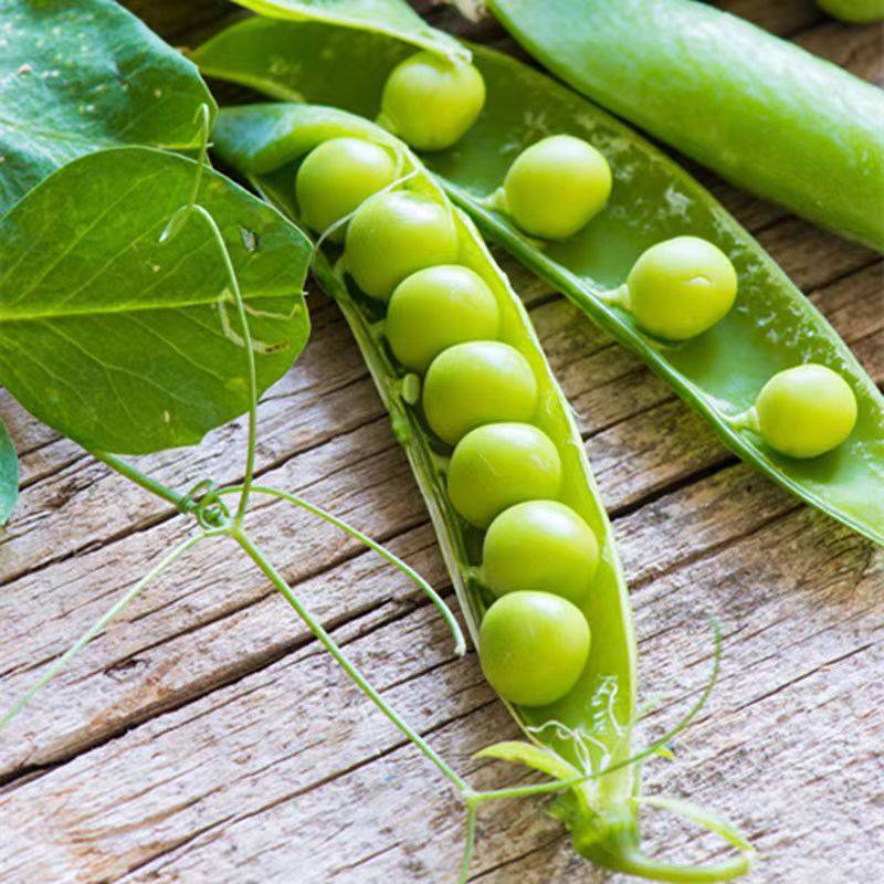 甜豆云南新鲜带壳豌豆荚青豆豆角农家蔬菜水果豆荚新鲜豆类