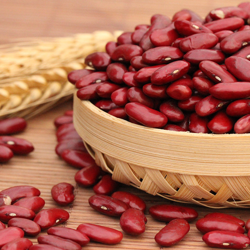 干生蚕豆新货蚕豆罗汉豆农家自种青胡豆新鲜5斤装可发芽蚕豆种