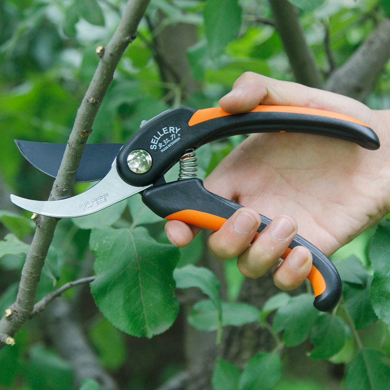 修枝史拉利流线型园艺剪刀进口钢材耐用安全花园剪刀