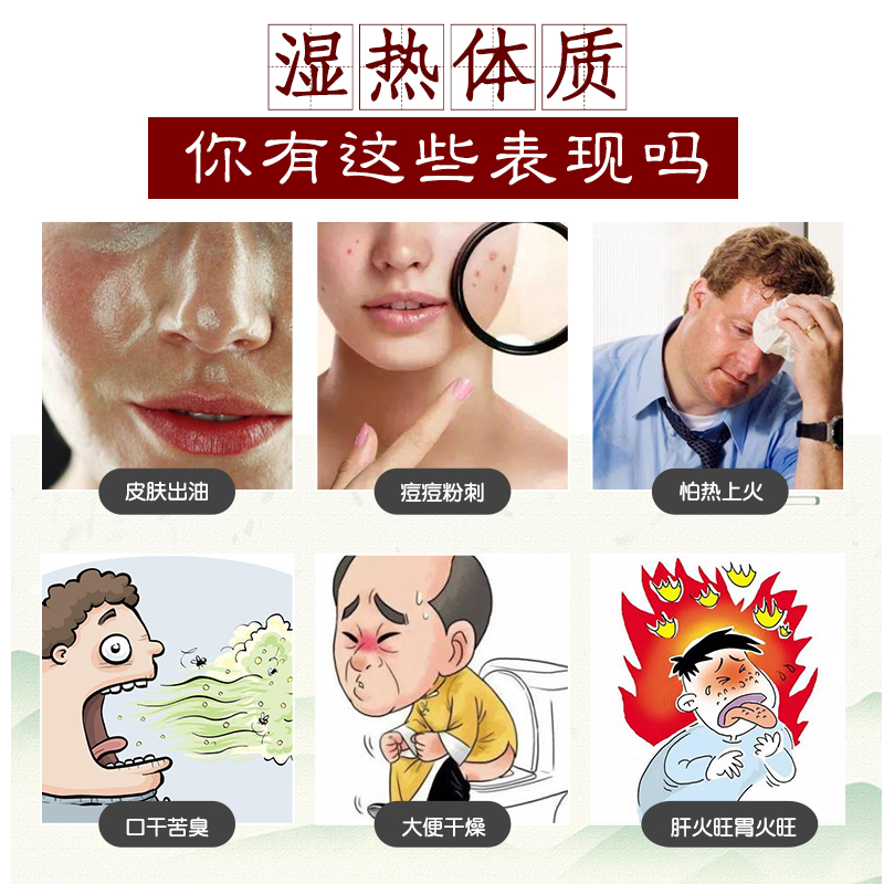 荷香饮脾胃湿热调理脾胃养生茶内调祛痘茶包祛湿茶去湿气祛湿热茶