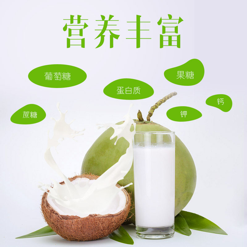 套海南新鲜椰子带皮椰青多汁水三亚特产旅游产品泰国鲜嫩包邮6个