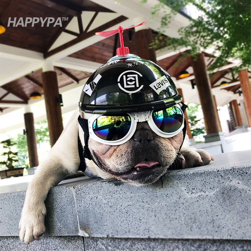 头盔抖音宠物竹蜻蜓狗狗机车法斗泰迪网红风车帽子