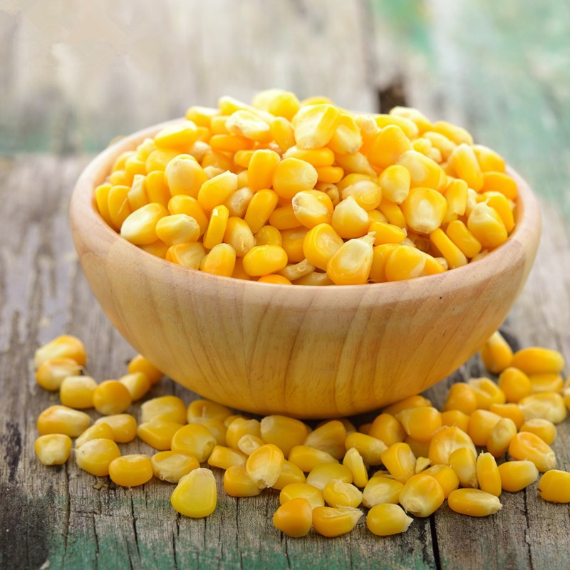 太阳花玉米粒罐头410g3罐美国玉米沙拉水果新鲜水果罐头