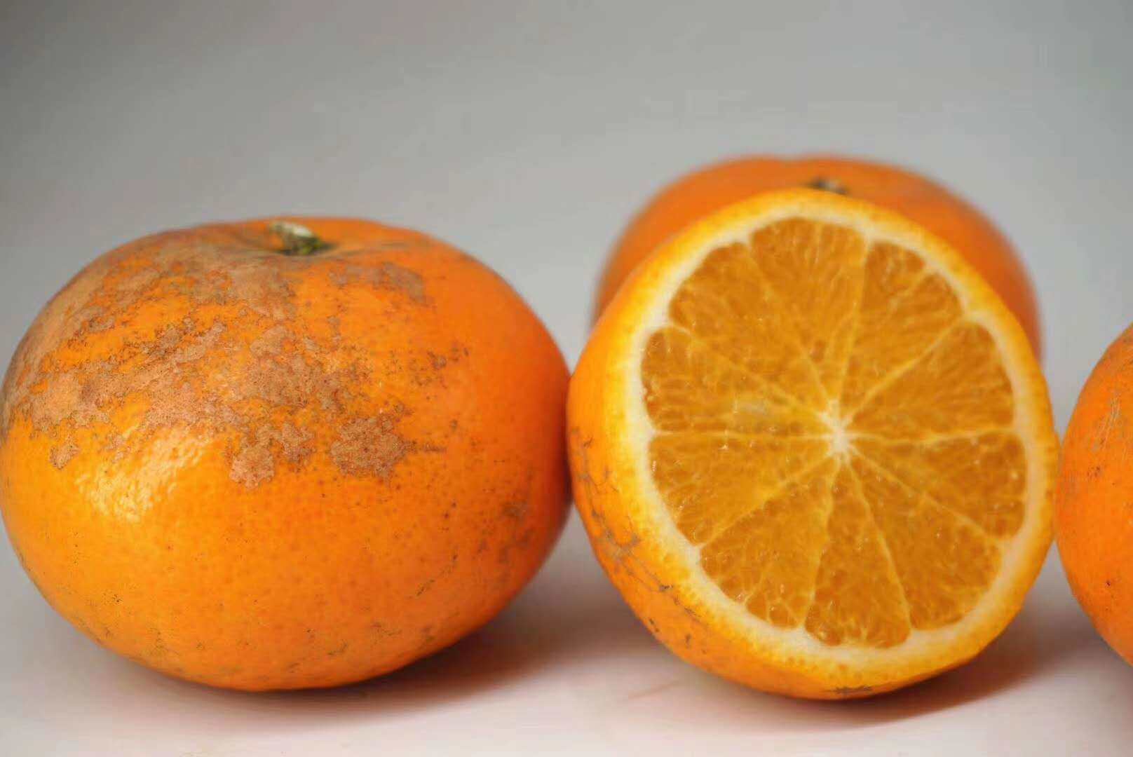 武鸣沃柑 纯甜 一斤3-4个左右 有些会是花皮果 介意勿拍