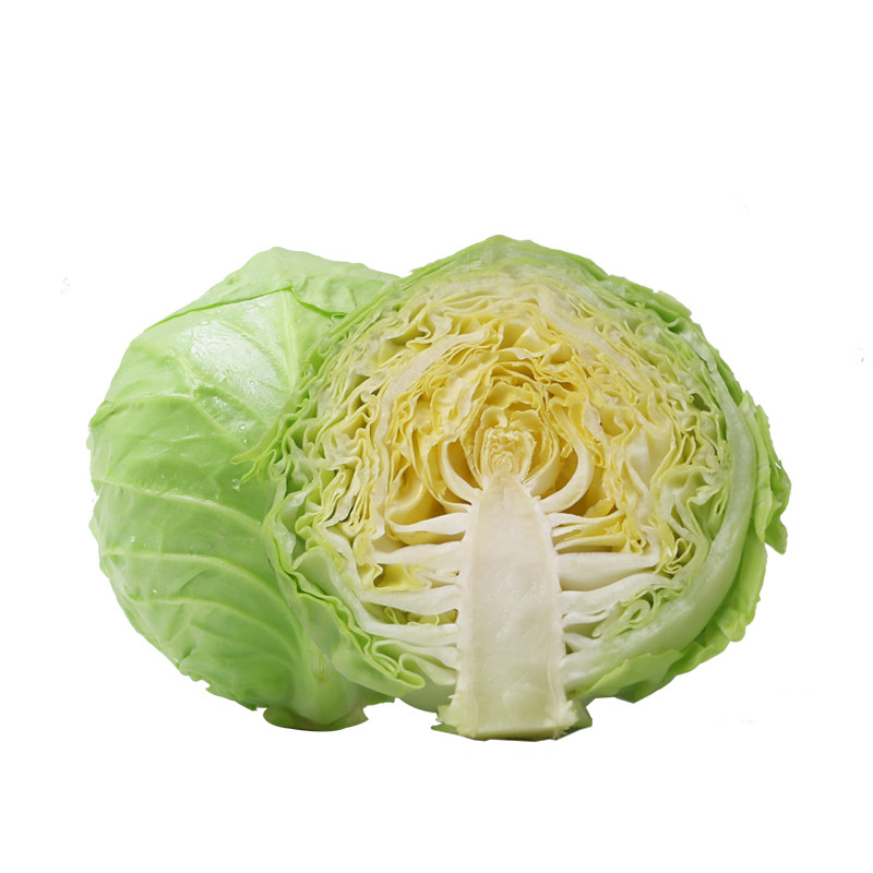 有机汇 有机甘蓝绿甘蓝新鲜有机蔬菜包菜甘蓝1000g