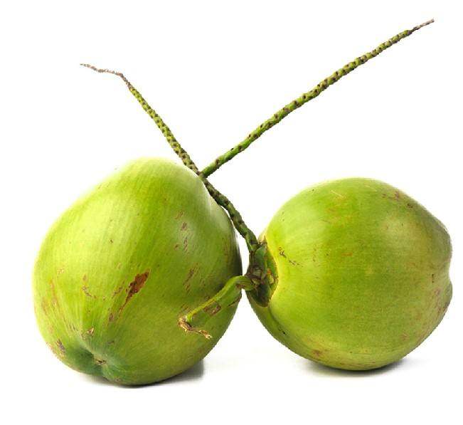 7个带皮海南椰青 海南老椰子青椰海南新鲜椰子孕妇水