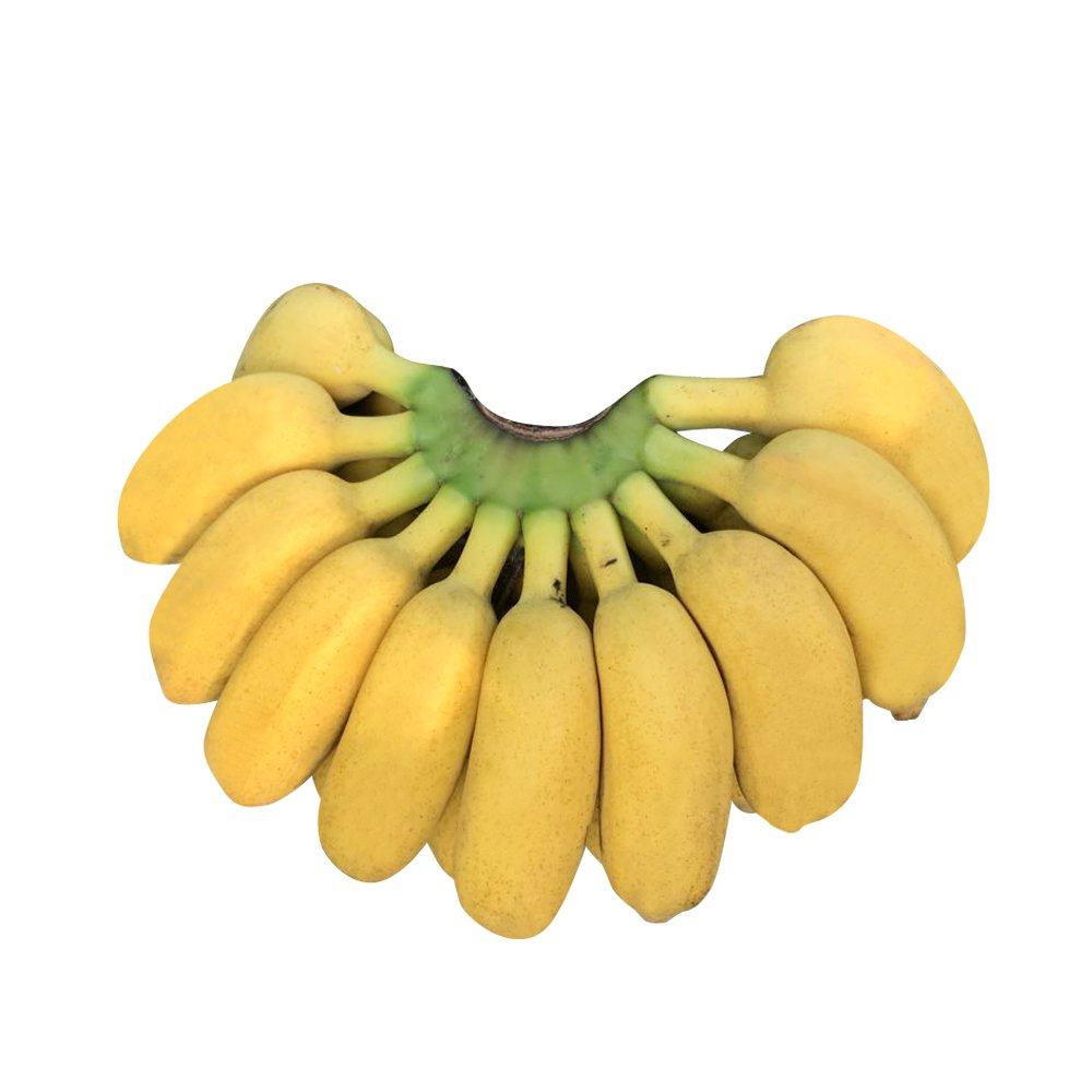 米蕉香蕉小香小鸡3斤5斤9斤泡沫小米广西香蕉