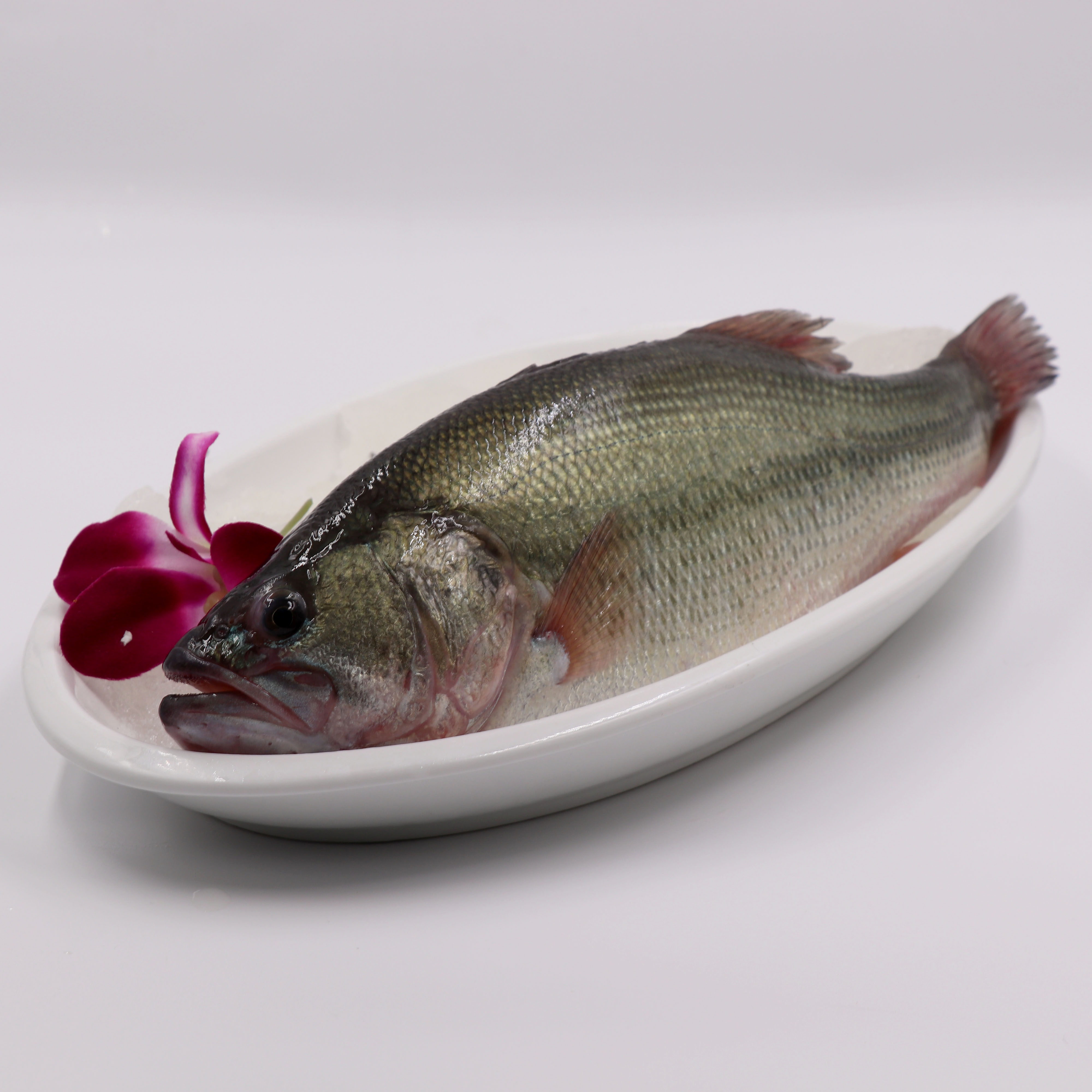 鲈鱼113斤免费宰杀鲜活淡水活体河新鲜加州包邮其它