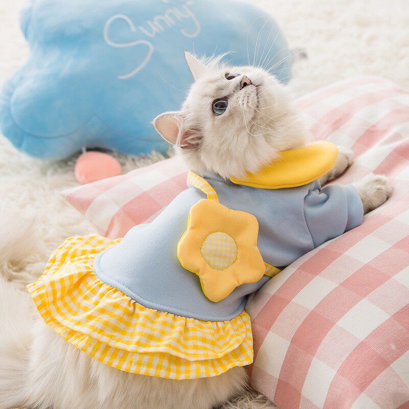 猫咪可爱衣服卫衣银渐层金渐层布偶猫英短美短蓝猫狗宠物服装