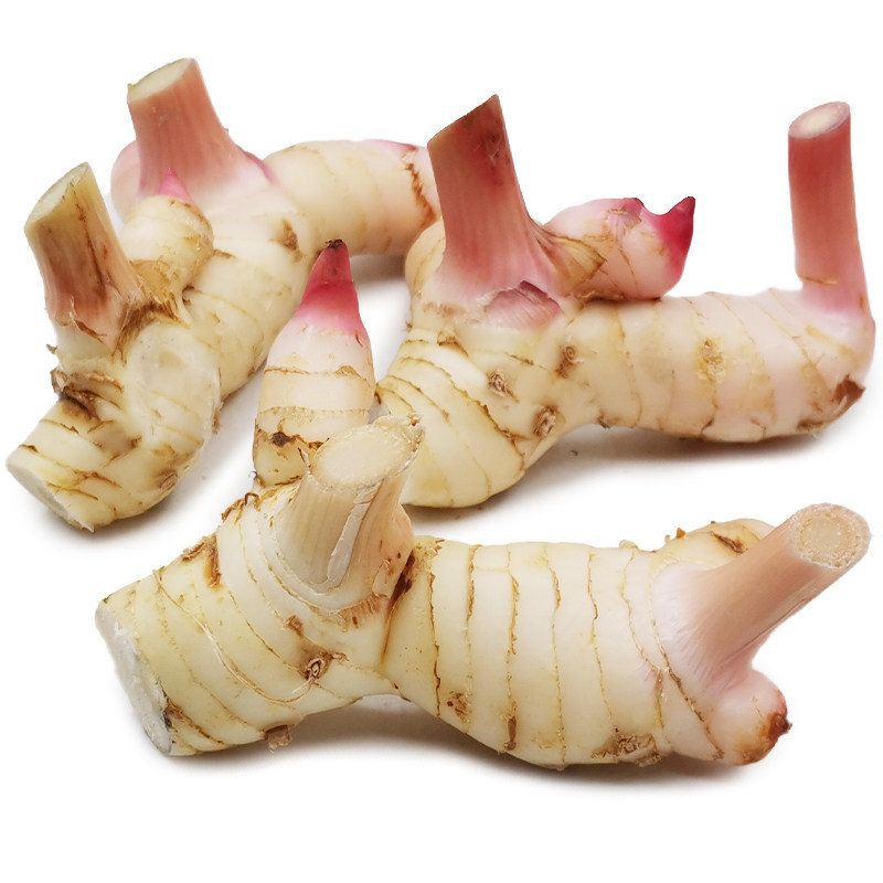 新鲜白皮南姜高良姜泰国冬阴调味料香料其它