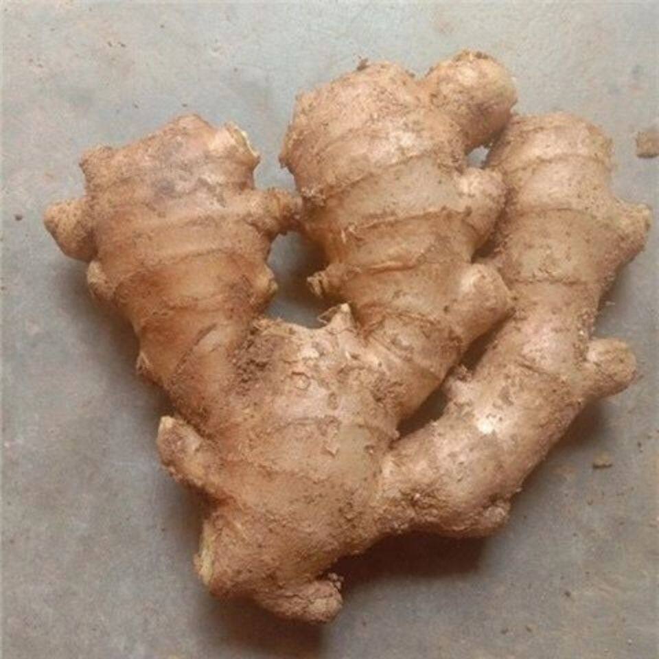 老姜生姜姜老姜泥鲜姜块带姜生姜块大新鲜月子10斤生姜