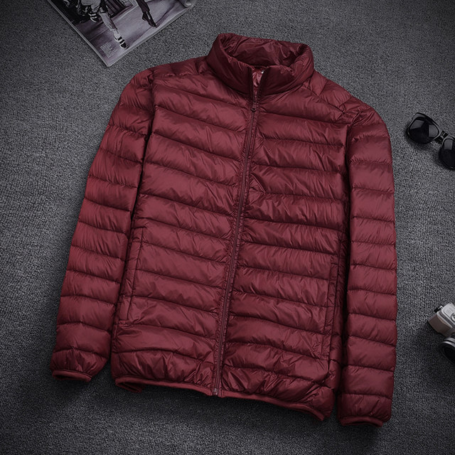 New thin down jacket men's stand-collar short slim thin section casual coat large size men's clothing ultra-thin tide New thin down jacket men's stand-collar short slim thin section casual coat large size men's clothing ultra-thin tide