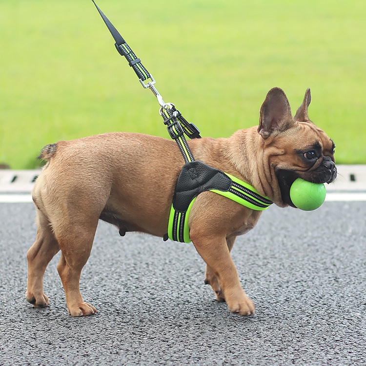 中型小型背心牵引绳狗泰迪狗链子遛狗宠物背带狗牵引绳