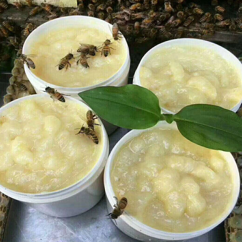 新鲜蜂王浆野生天然2021年春浆正品蜂皇浆农家自产蜂乳500g