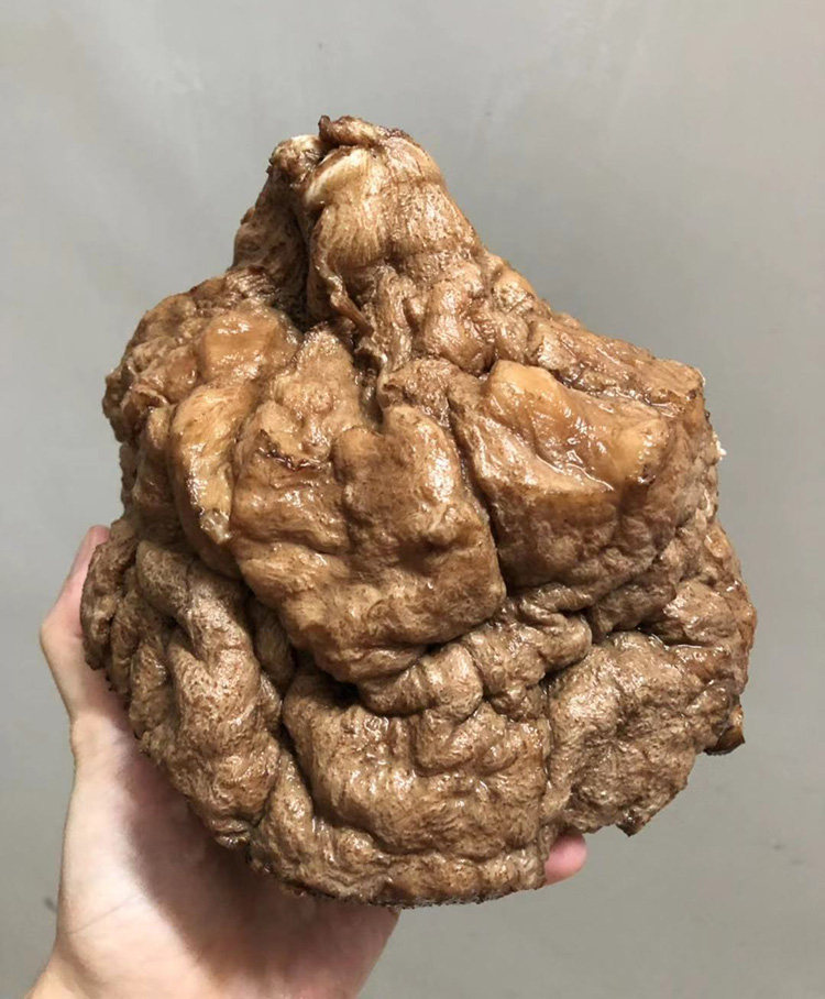 太岁千年精品老肉灵芝28斤特沧桑特收藏级别灵芝制品