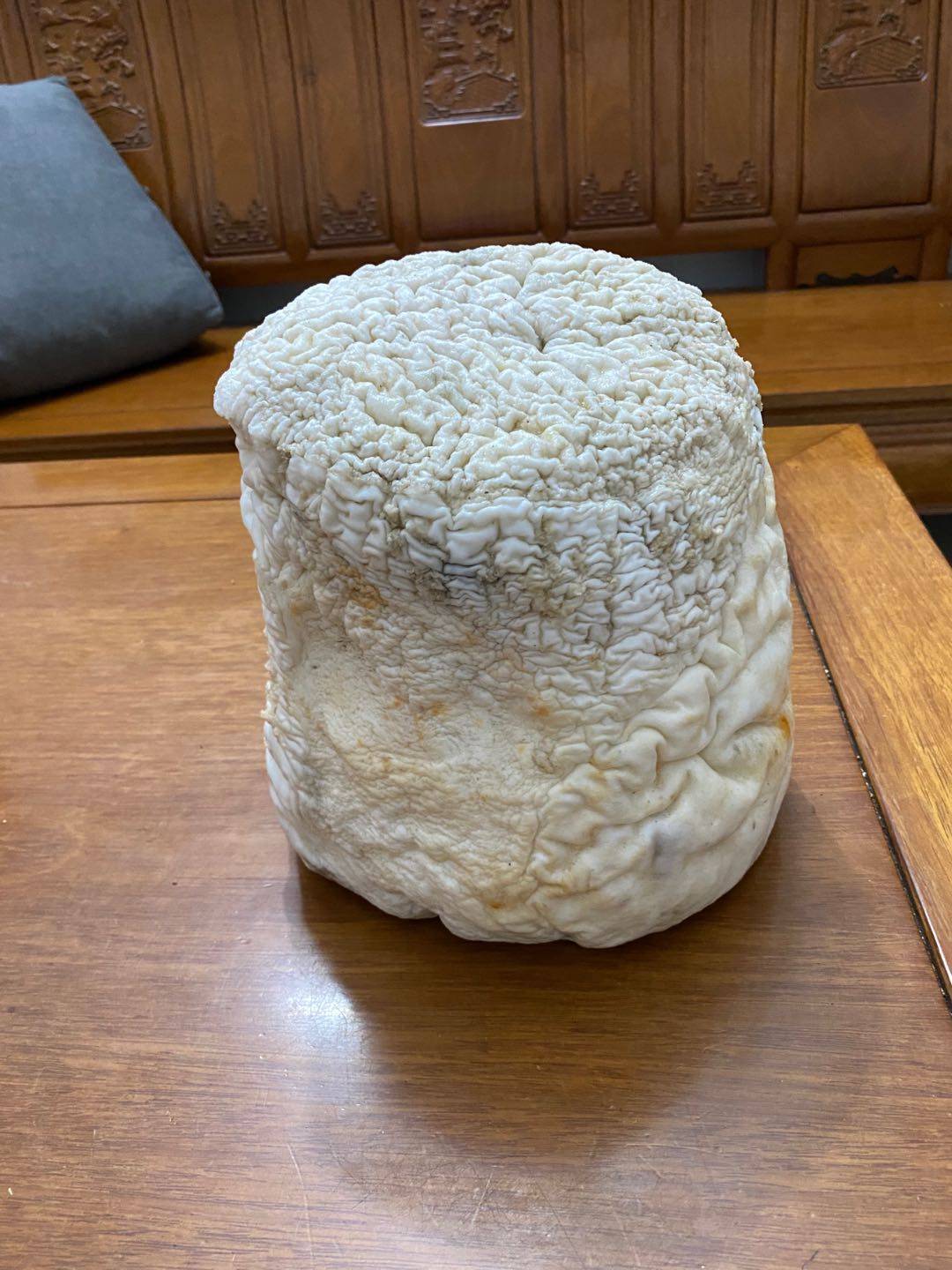 太岁长白山千年精品白肉灵芝野生11.5斤皱褶漂亮灵芝制品