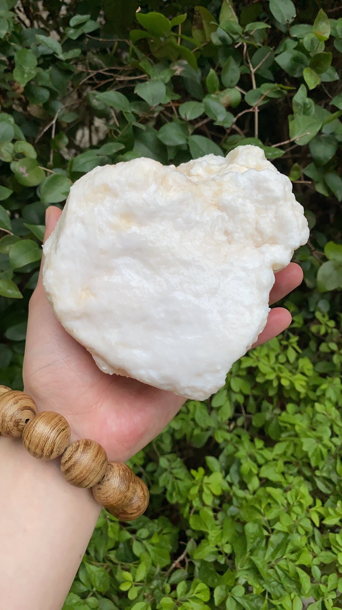 石太岁太岁长白山野生溶洞高品质白肉一斤灵芝制品